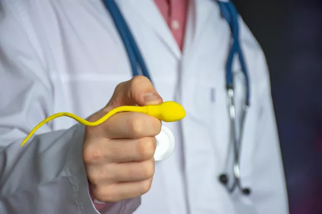 Urologist or fertility specialist holding an enlarged sperm model in their outstretched hand, illustration. Foto: iStock/Shidlovski