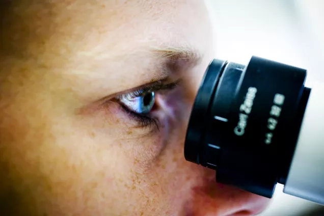 Researcher and microscope. Photo Kennet Ruona. 