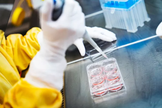 Close-up at hands in gloves working at the lab bench. Photo.